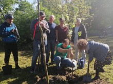 Katrin Langensiepen und Mitglieder des Stadtverbandes beim Pflanzen der Bäume